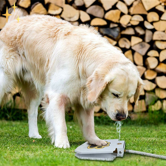 Honden Fontein Speelgoed om met Pootje Zelf Water te Sproeien