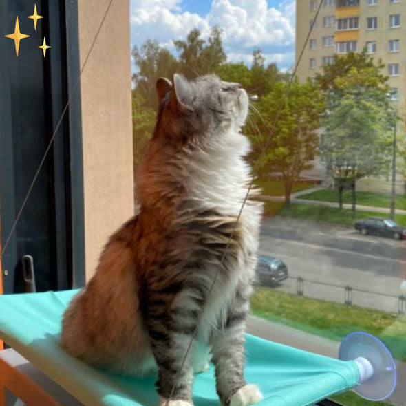 CatMock™ Katten Hangmat | Alleen Het Beste Voor Jouw Lieve Kat